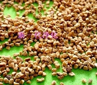 ��(y��u)�|(zh��)���Қ������Қ�(���ͣ������Қ��w��